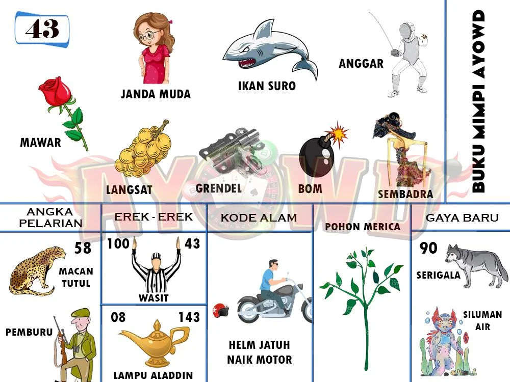 buku mimpi erek erek togel 43